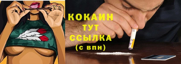бошки Надым
