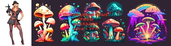 бошки Надым