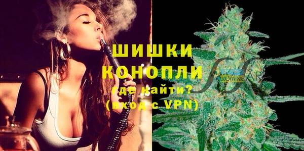 бошки Надым