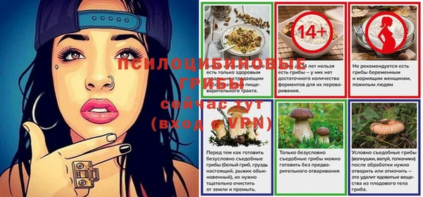 стаф Наволоки