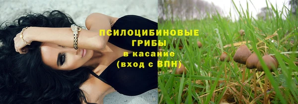 стаф Наволоки