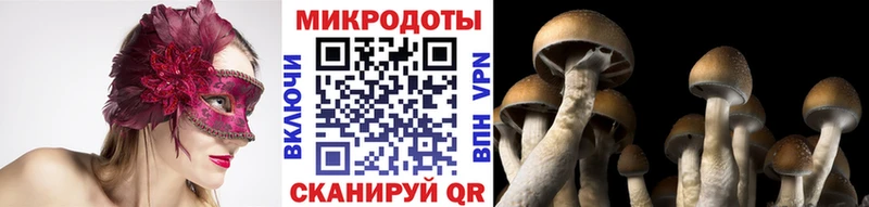 Псилоцибиновые грибы Psilocybe  Щёлково 