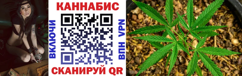 Каннабис SATIVA & INDICA  Щёлково 